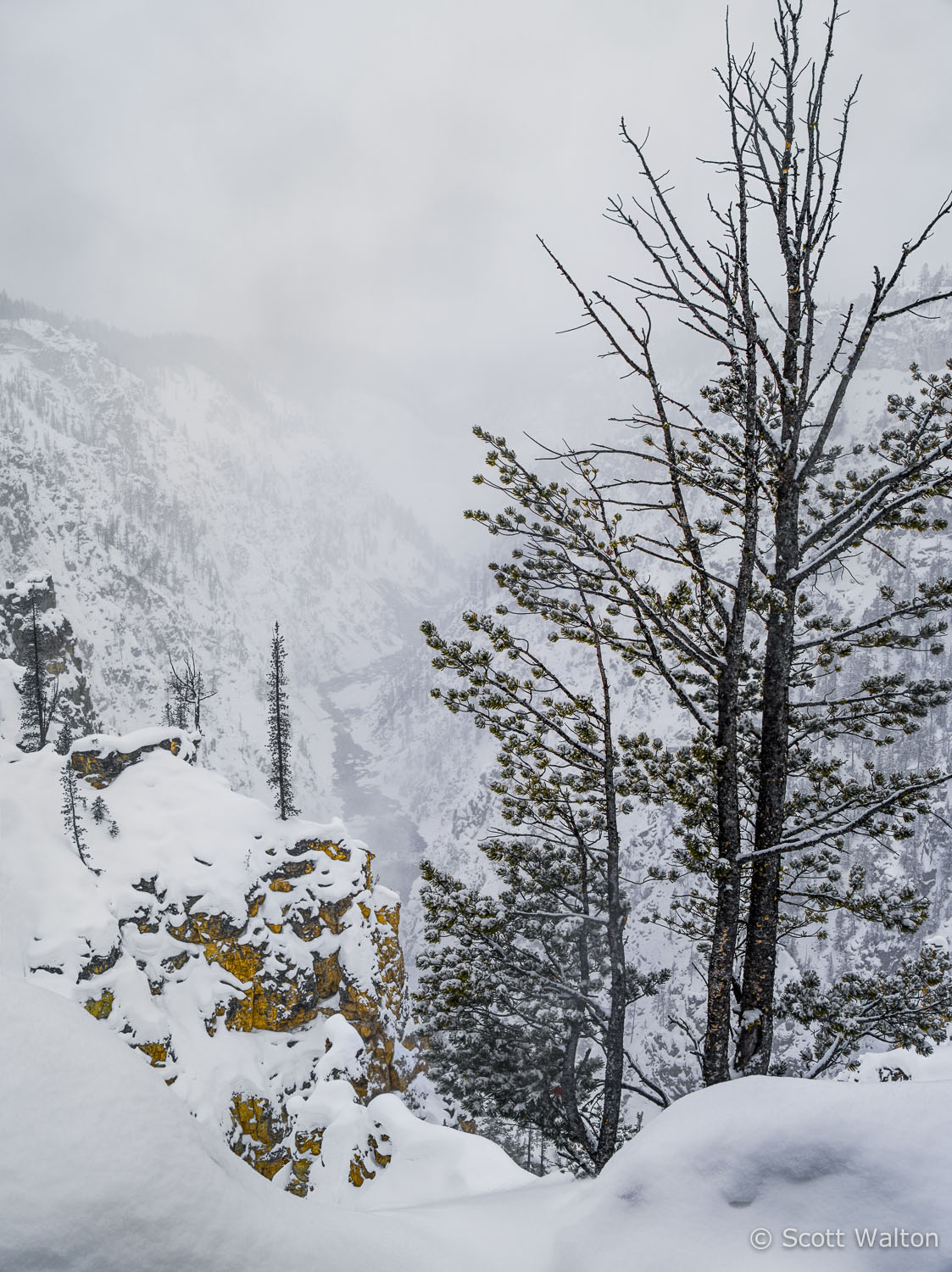 Grand Canyon Of The Yellowstone River Snowstorm Scott Walton Photographs