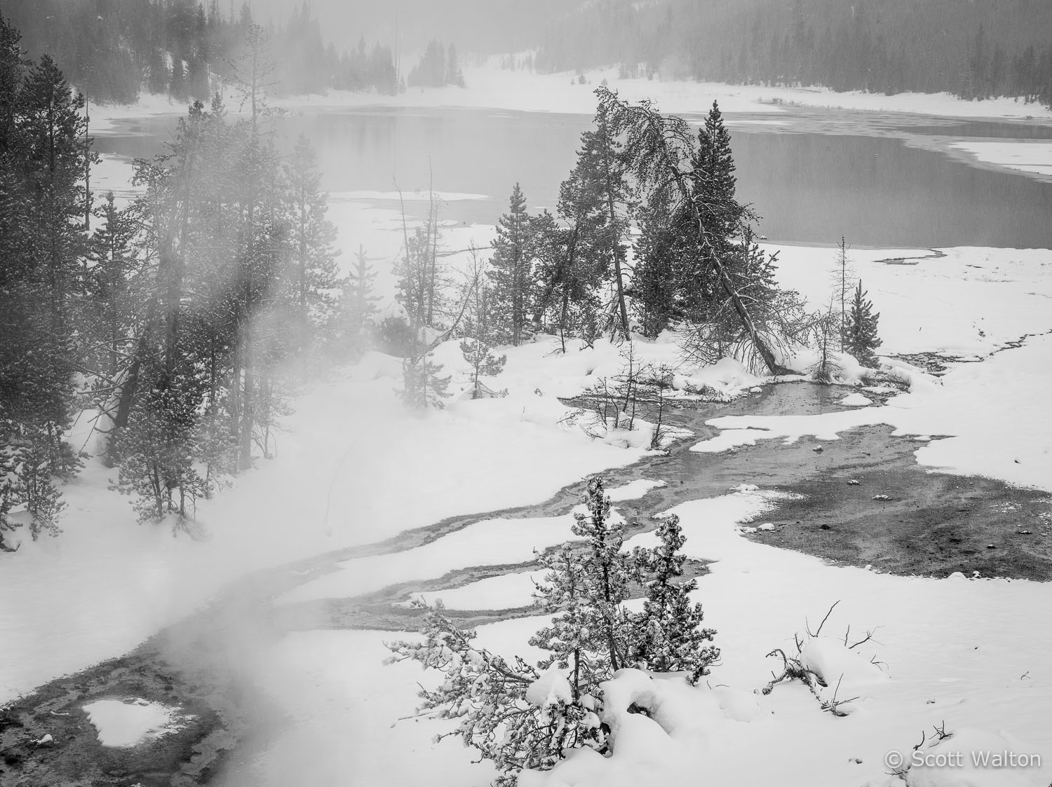 nymph-lake-snowstorm1-yellowstone-national-park-wyoming.jpg