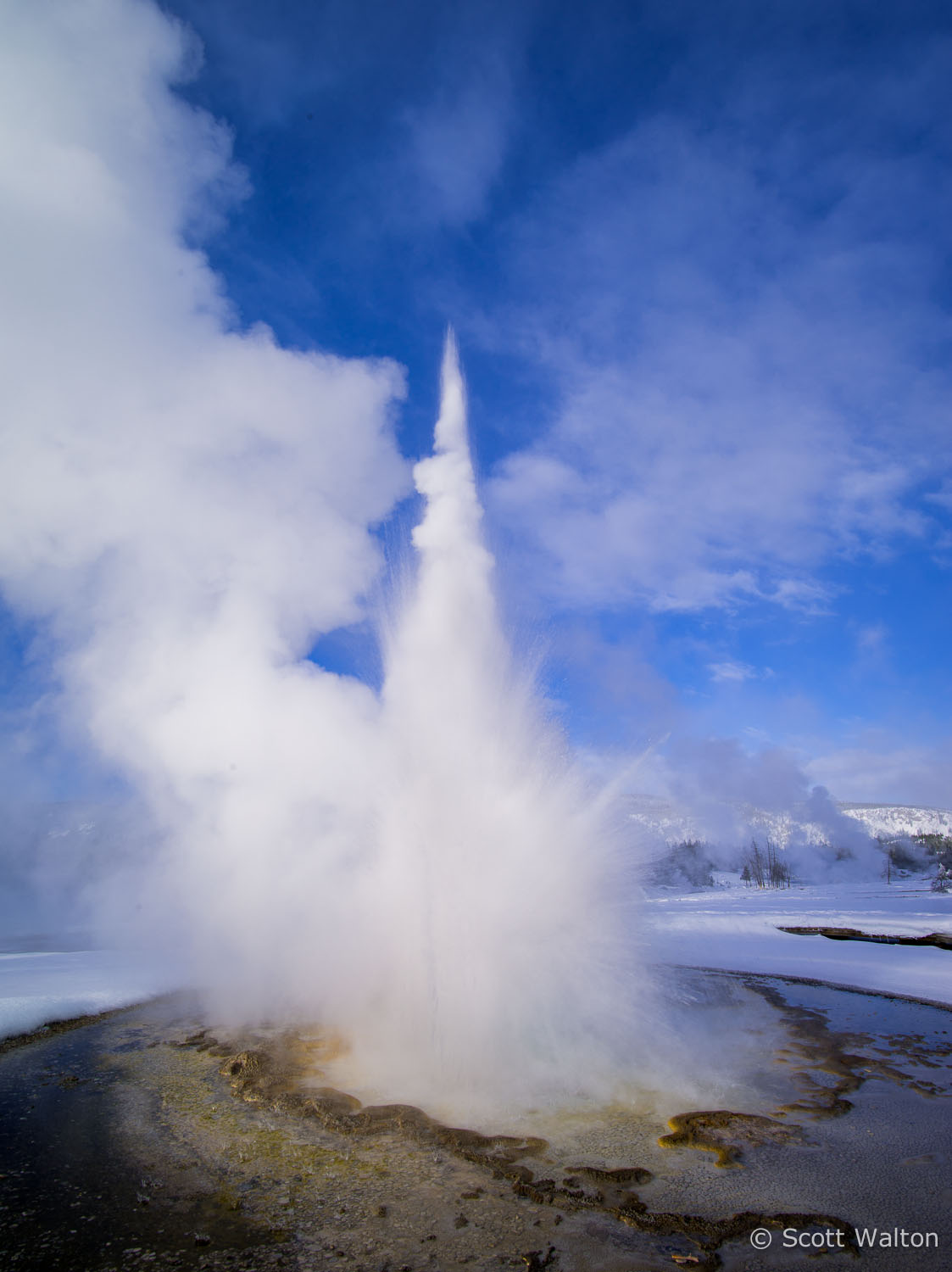 sawmill-geyser-yellowstone-national-park-wyoming.jpg