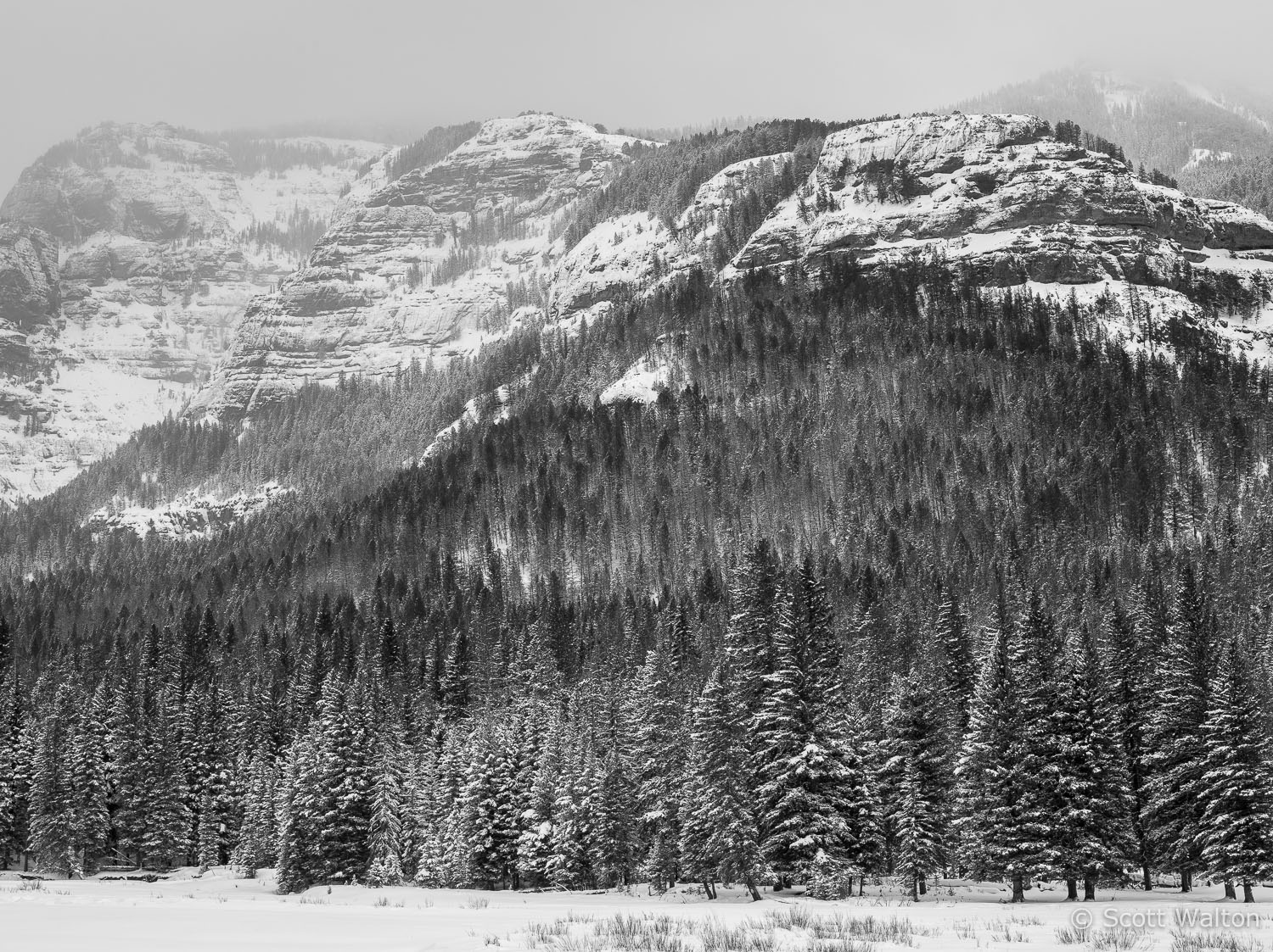 snowstorm-soda-butte-creek-yellowstone-national-park-wyoming.jpg