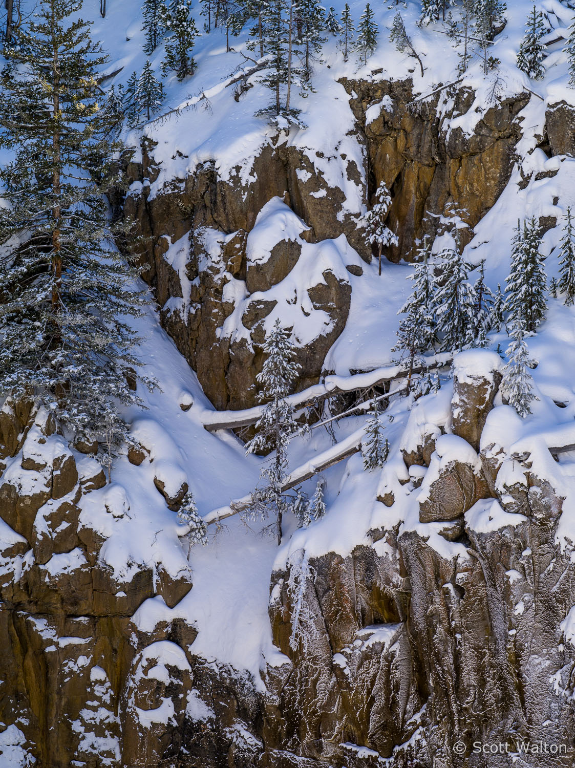 snowy-hillside-gibbon-falls-yellowstone-national-park-wyoming.jpg