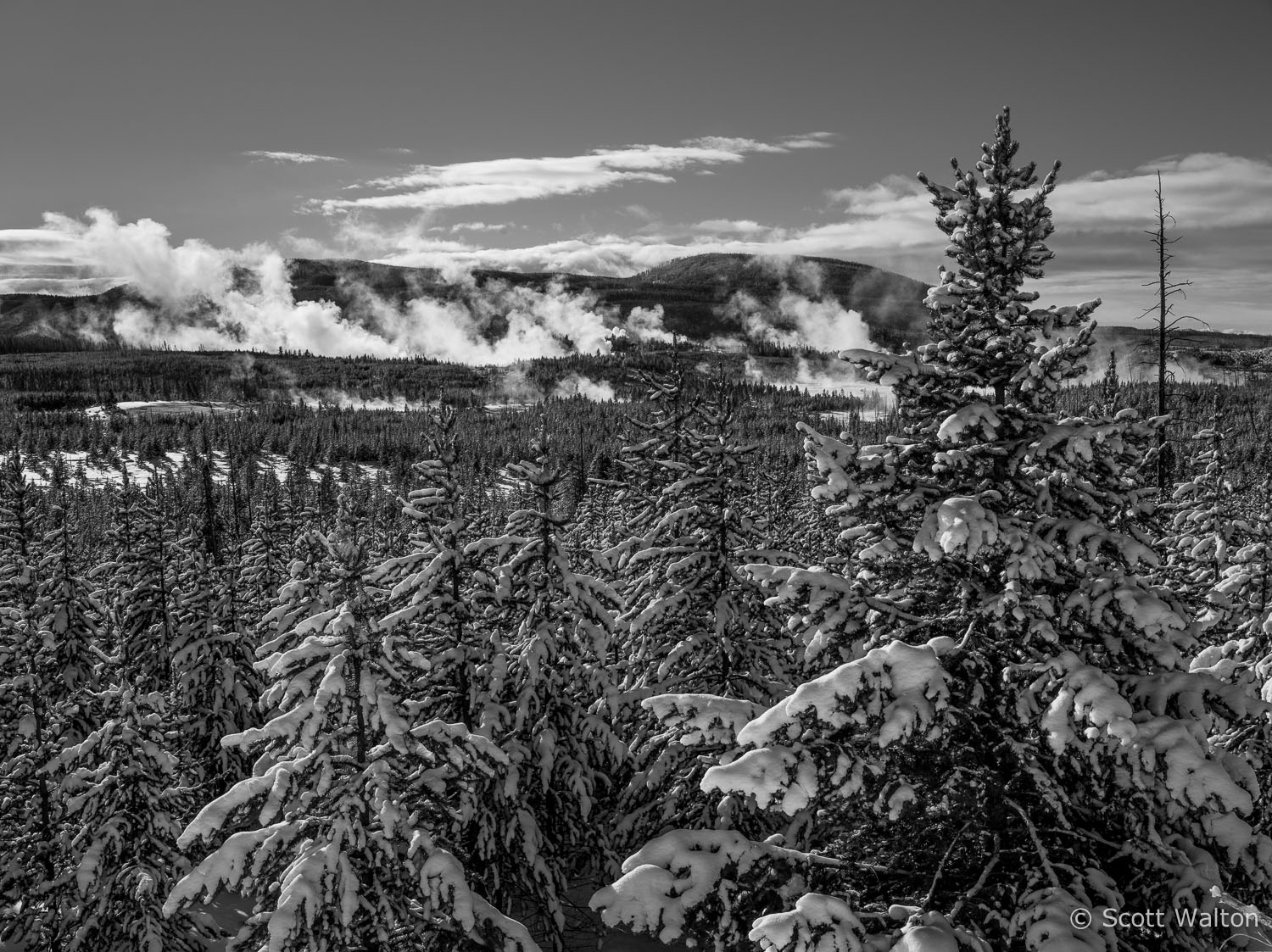 steam-norris-geyser-basin-yellowstone-national-park-wyoming.jpg