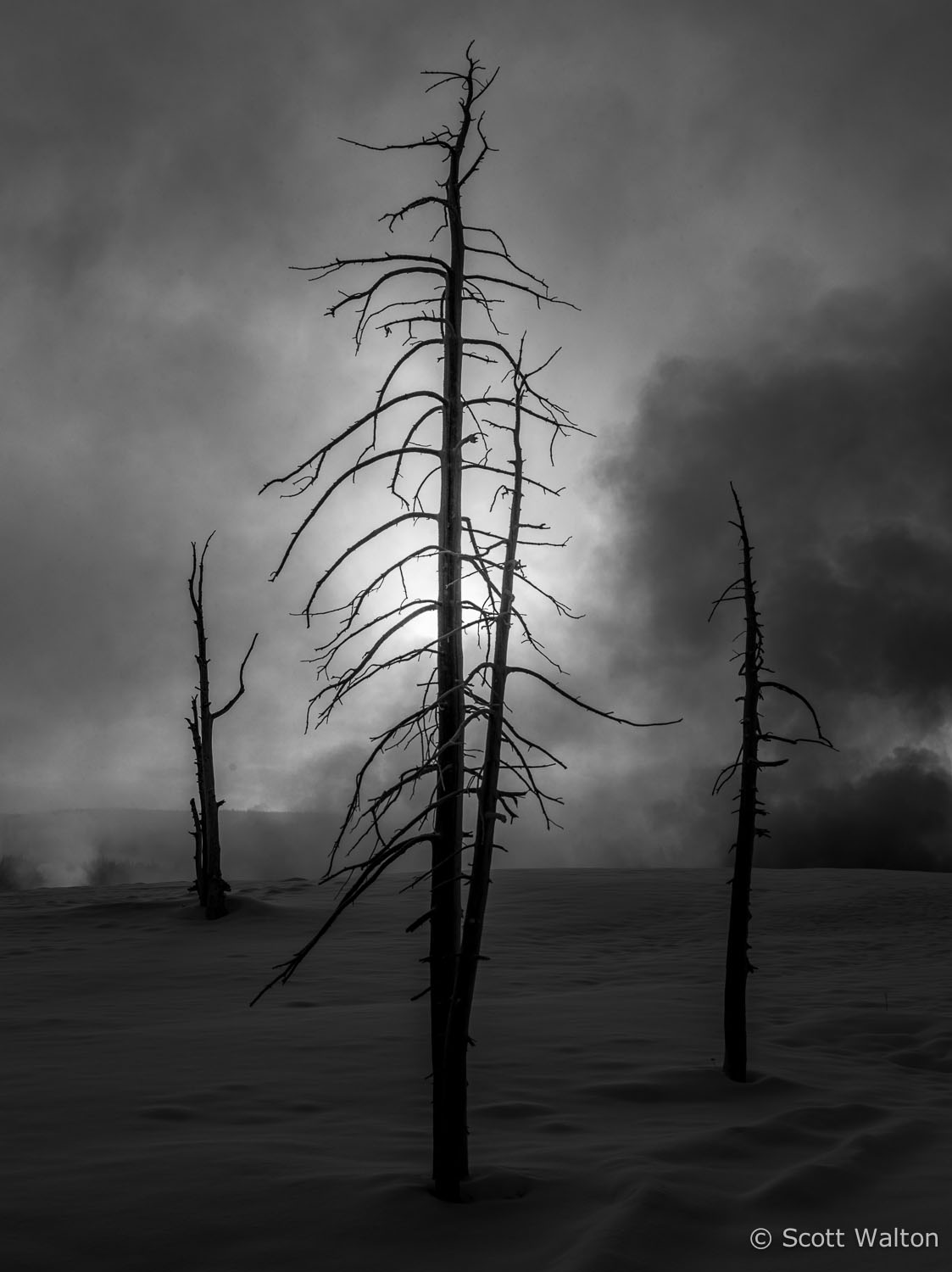 sunrise-steam-snow-bw-yellowstone-national-park-wyoming.jpg