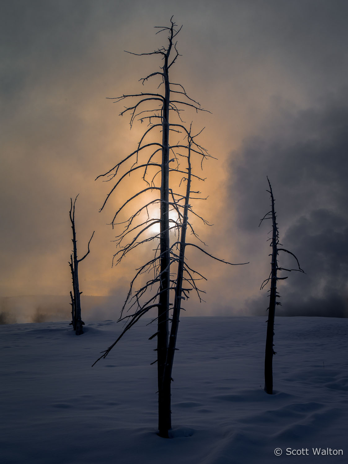 sunrise-steam-snow-color-yellowstone-national-park-wyoming.jpg
