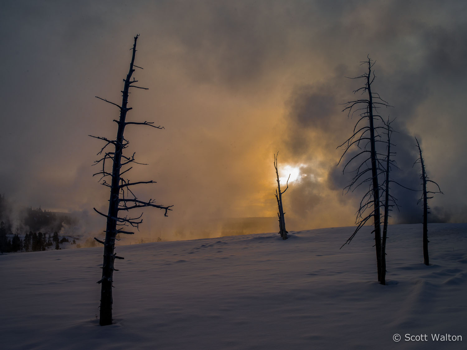 sunrise-steam-snow-color2-yellowstone-national-park-wyoming.jpg