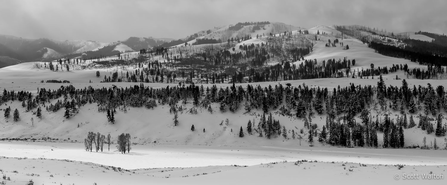 terraces-lamar-valley-winter-yellowstone-national-park-wyoming.jpg