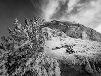 frosty-trees-minerva-terrace-yellowstone-national-park-wyoming.jpg