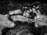 Ice Form, Yellowstone River, Paradise Valley, Montana ice-bubbles-yellowstone-river-paradise-valley-montana.jpg