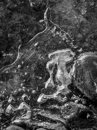 ice-form2-yellowstone-river-paradise-valley-montana.jpg