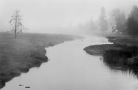 nez-perce-creek-fog-yellowstone-national-park-wyoming.jpg