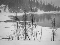 nymph-lake-snowstorm2-yellowstone-national-park-wyoming.jpg