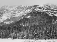 snowstorm-soda-butte-creek-yellowstone-national-park-wyoming.jpg