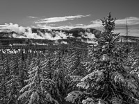 steam-norris-geyser-basin-yellowstone-national-park-wyoming.jpg