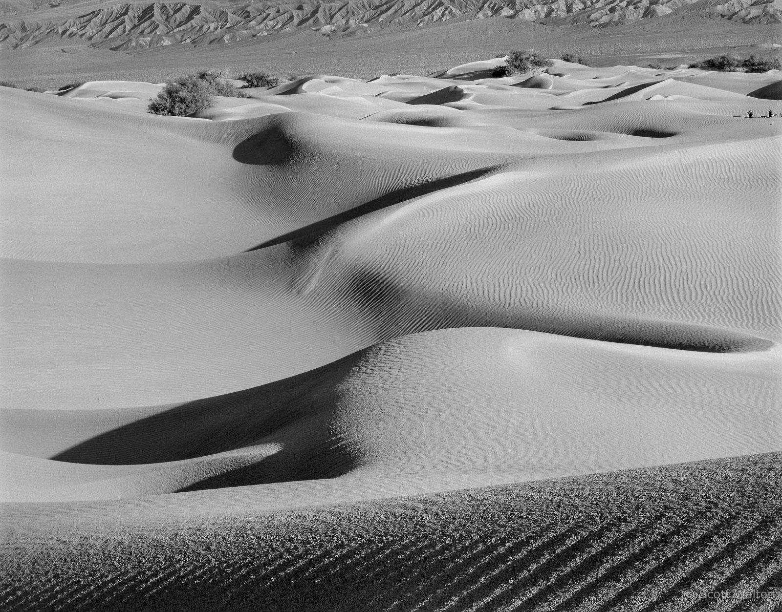 DeathValleyDunesAcrossLowDunesBW-homescan-Tmax100.jpg