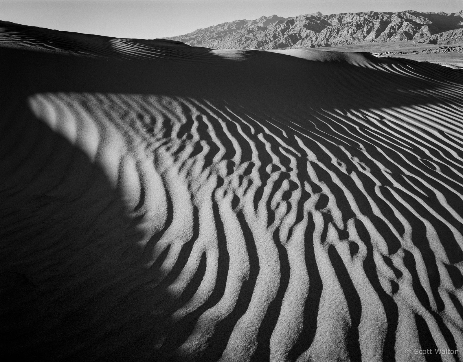 DeathValleyDunesCurveBW-homescan-Tmax100.jpg