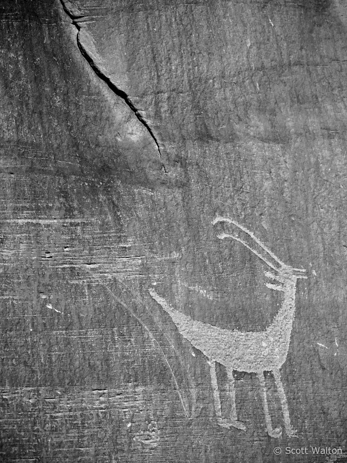 petroglyph-monument-valley-navajo-tribal-park-arizona.jpg