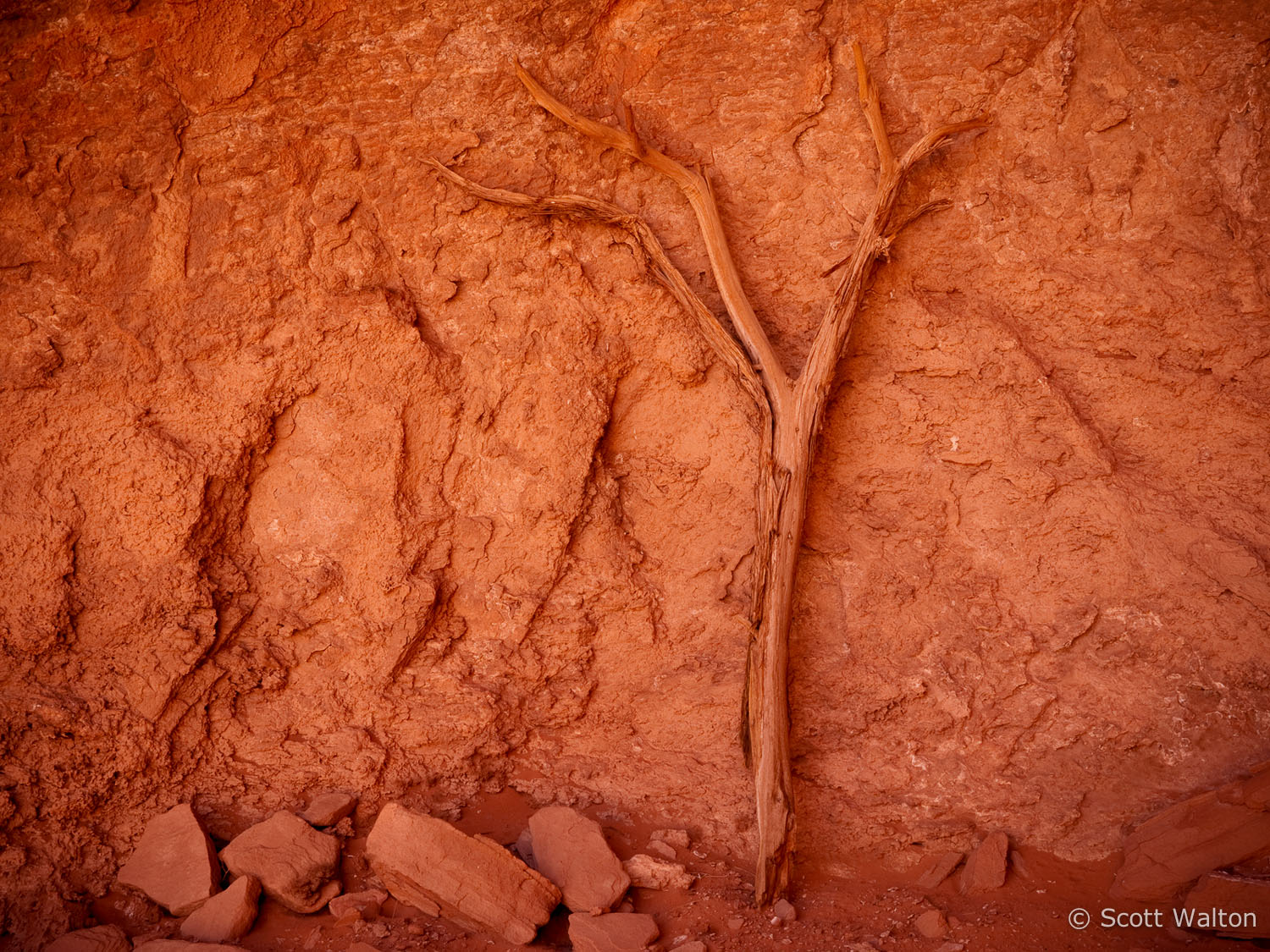 wall-branch-monument-valley-navajo-tribal-park-arizona.jpg