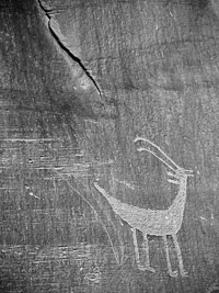 petroglyph-monument-valley-navajo-tribal-park-arizona.jpg