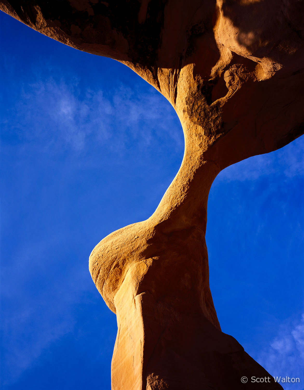 metate-arch-devils-garden-utah.jpg