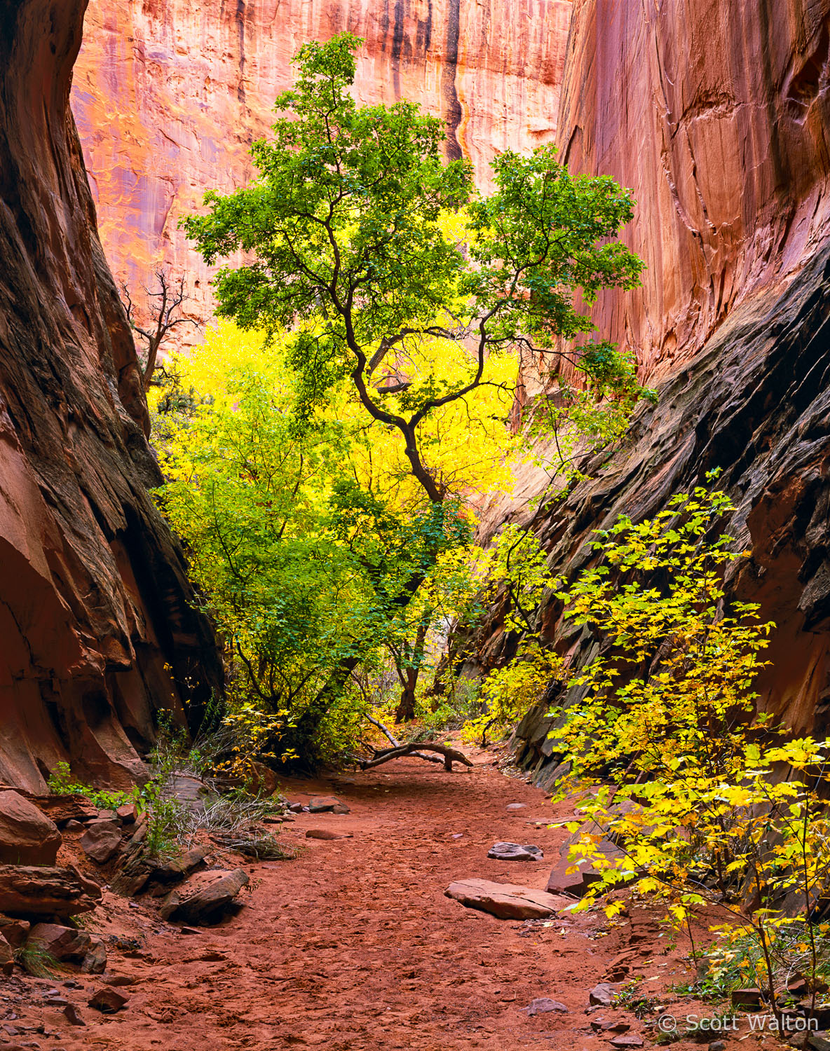 sheltered-life-long-canyon-utah.jpg