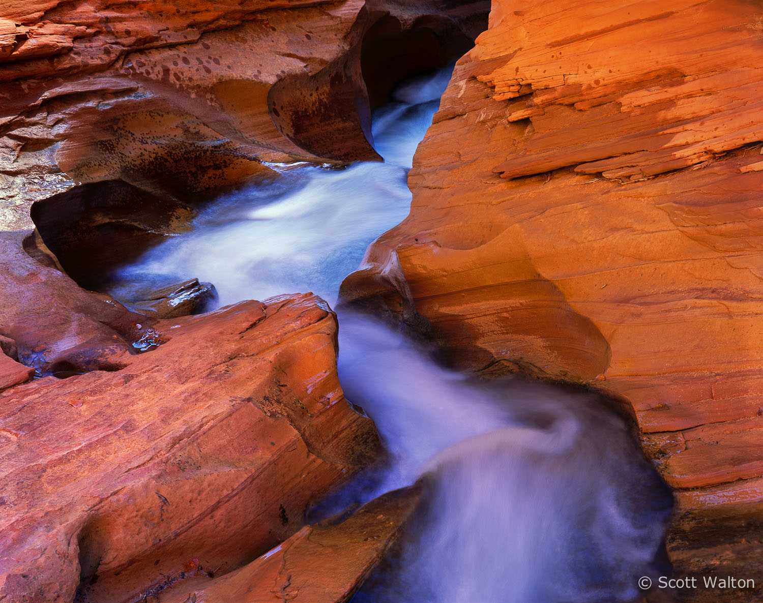 water-sculpted-channel-coyote-gulch-utah.jpg