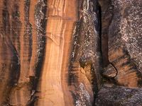 Canyon Varnish _IMG2680.jpg