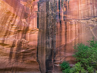 Canyon Varnish _IMG2685.jpg