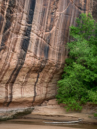 Bend in the Stream _IMG2823.jpg