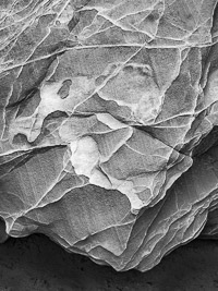 _MG_6436.jpg _MG_6436.jpg