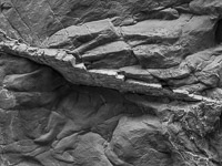 _MG_6461.jpg _MG_6461.jpg