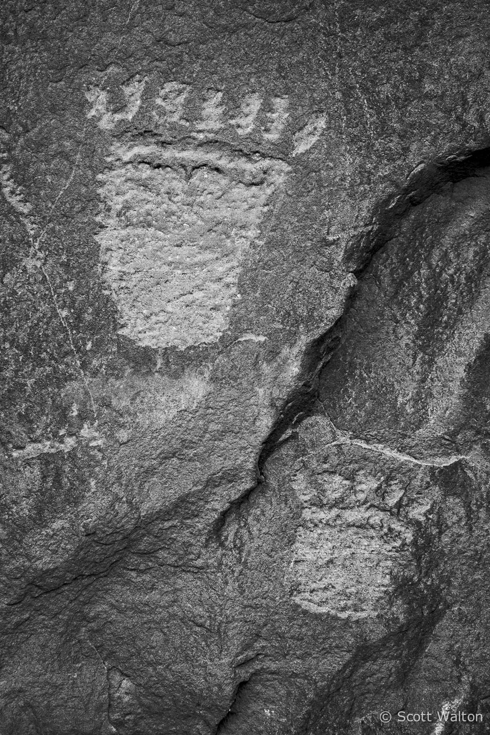 animal-track-petroglyph-bw-escalante-river-canyon-utah.jpg