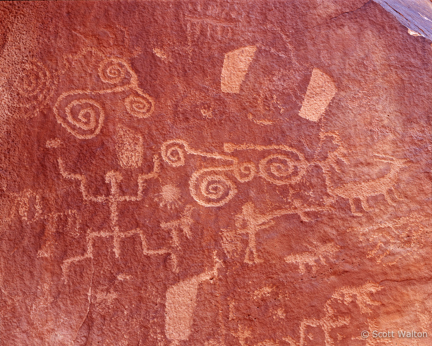 petroglyph-panel-paria-plateau-arizona.jpg