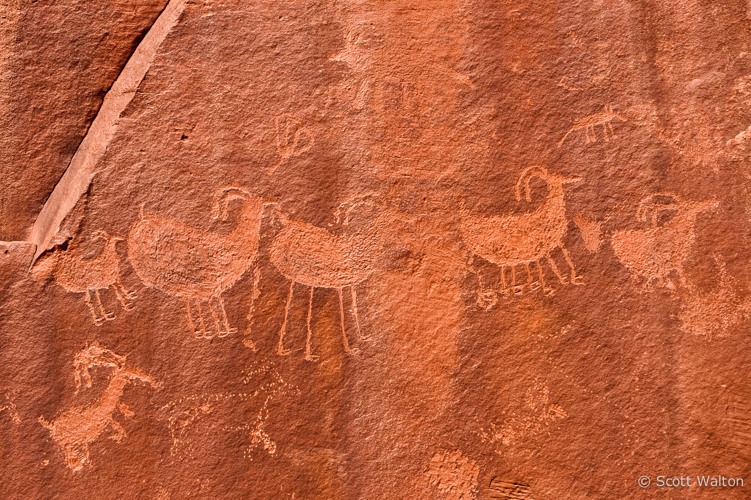 petroglyphs-neon-canyon-utah.jpg