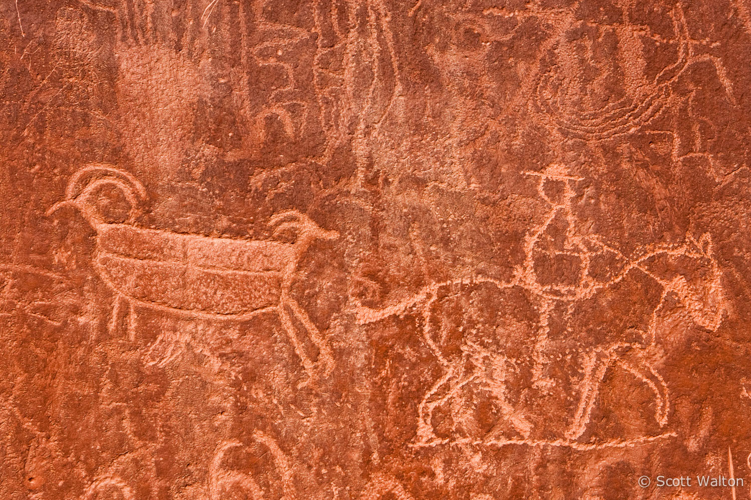 petroglyphs2-neon-canyon-utah.jpg