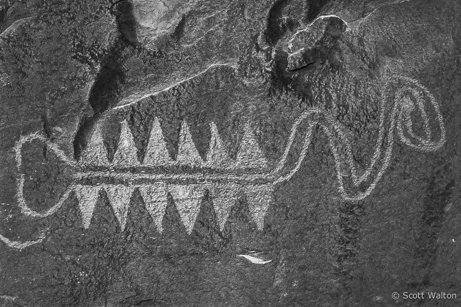 snake-petroglyph-bw-escalante-river-canyon-utah.jpg