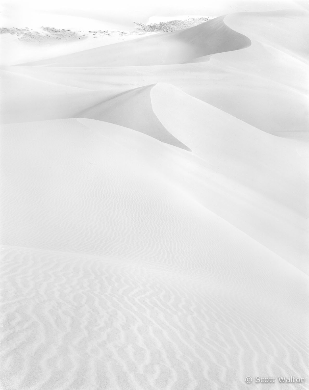 high-key-dunes-great-sand-dunes-national-park-colorado.jpg