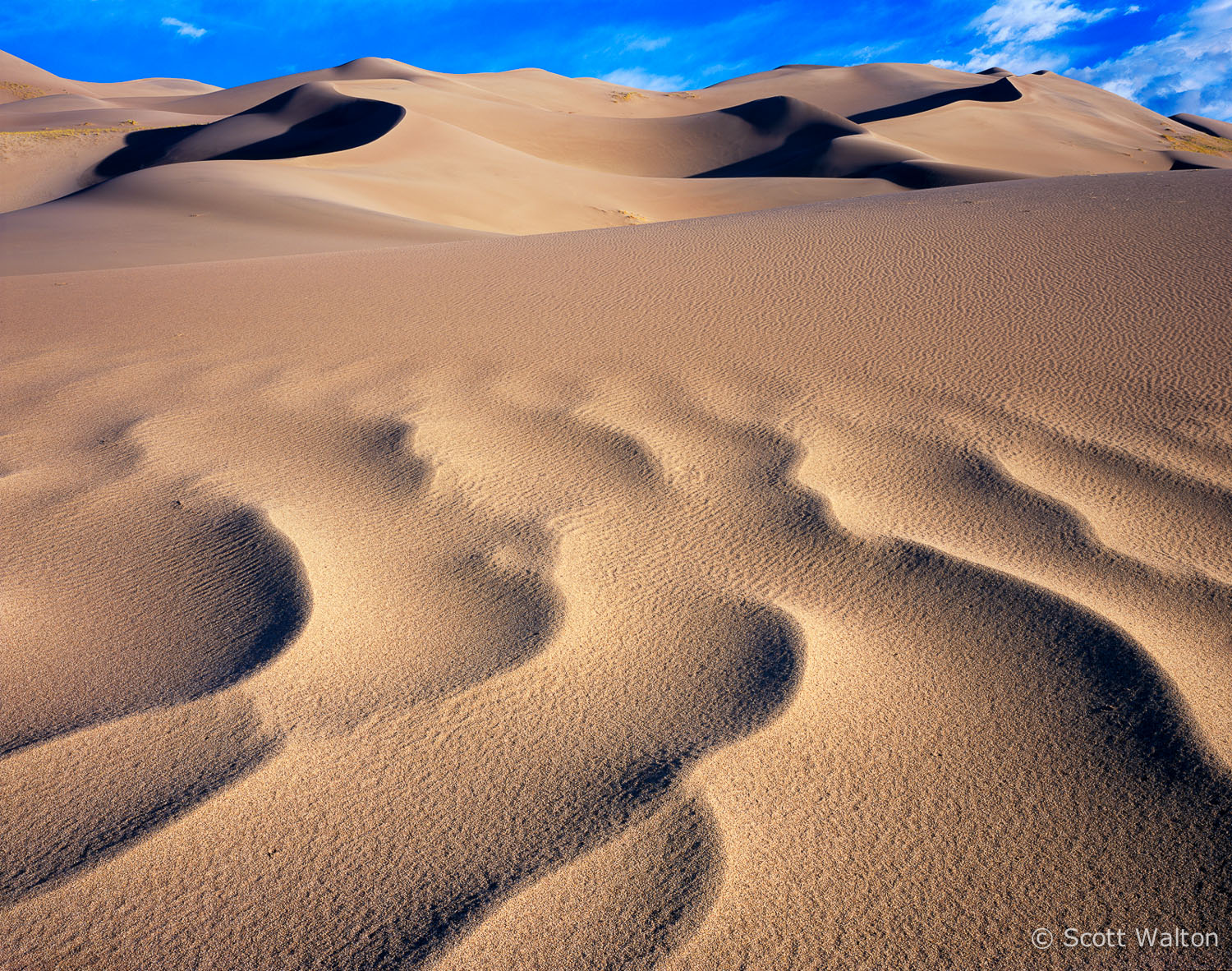 wind-rippled-sand-great-sand-dunes-national-park-colorado.jpg