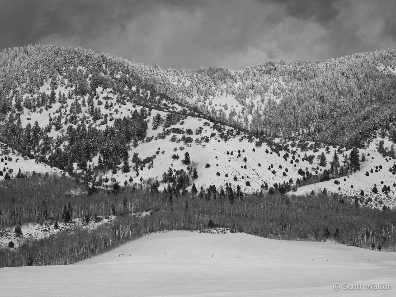snowy-rolling-hills-swan-valley-idaho.jpg