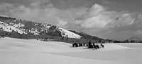 Snow and Clouds Panorama snow-clouds-panorama-swan-valley-idaho.jpg