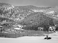 Silvery, Snowy Hillside snowy-hillside-swan-valley-idaho.jpg