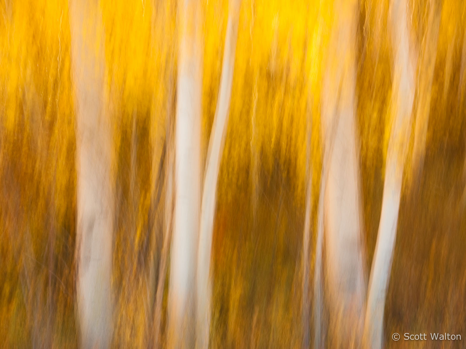 motion-blur-abstract-impression_1080420.jpg