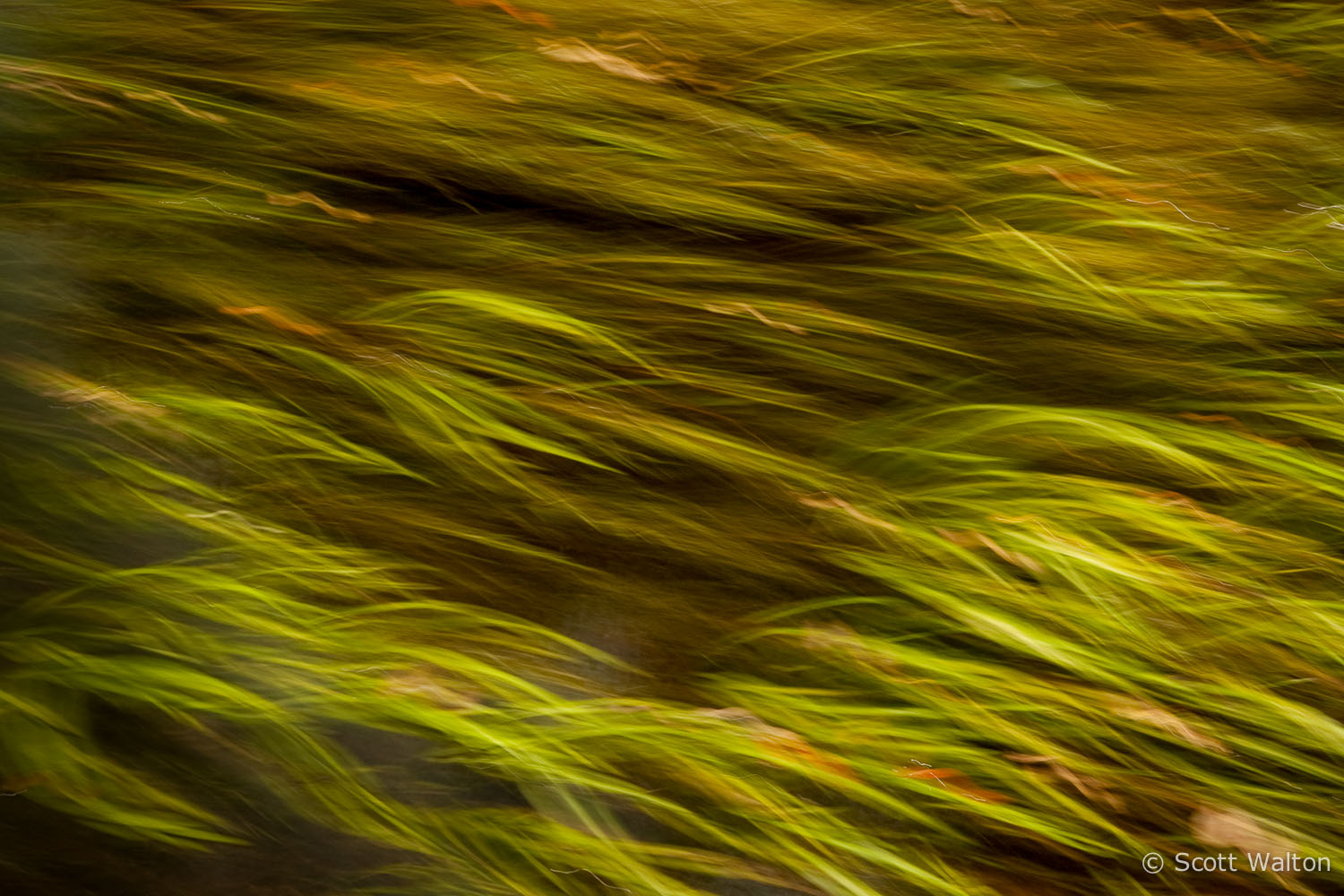 motion-blur-abstract-impression_DSC4382.jpg