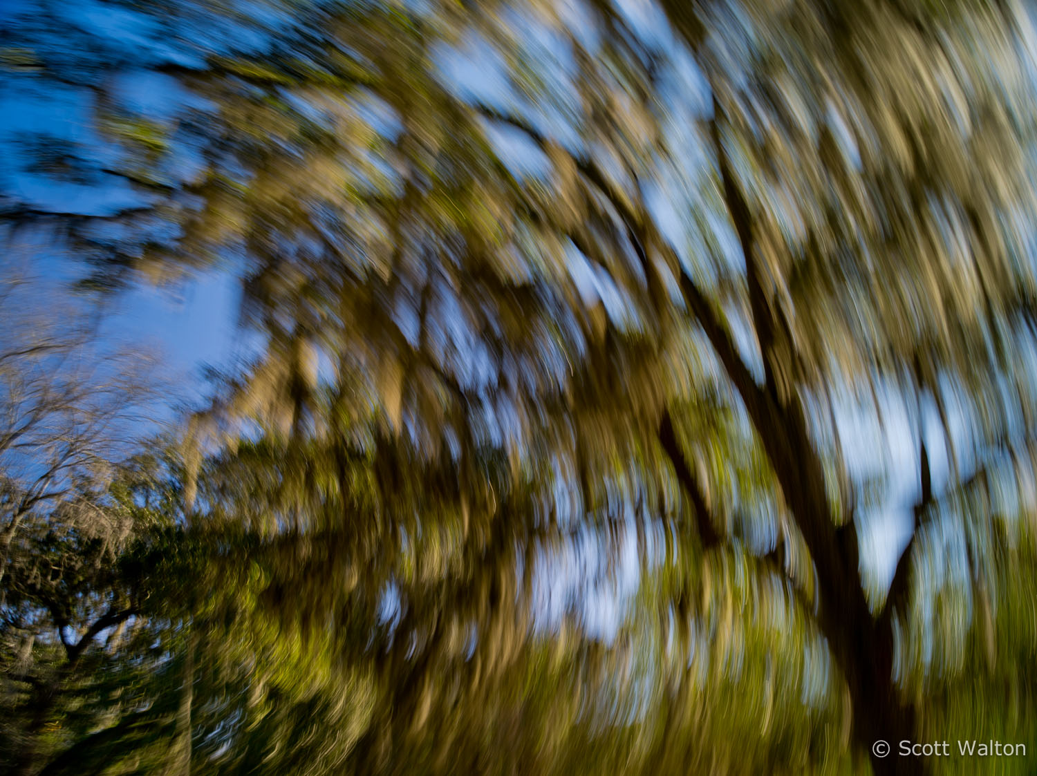 motion-blur-abstract-impression_IGP0149.jpg