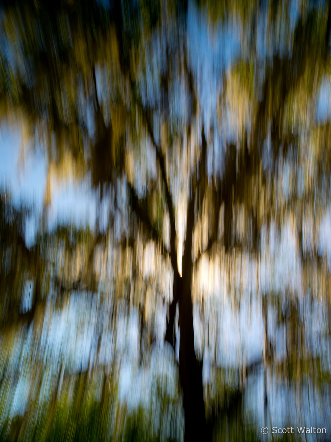 motion-blur-abstract-impression_IGP0175.jpg