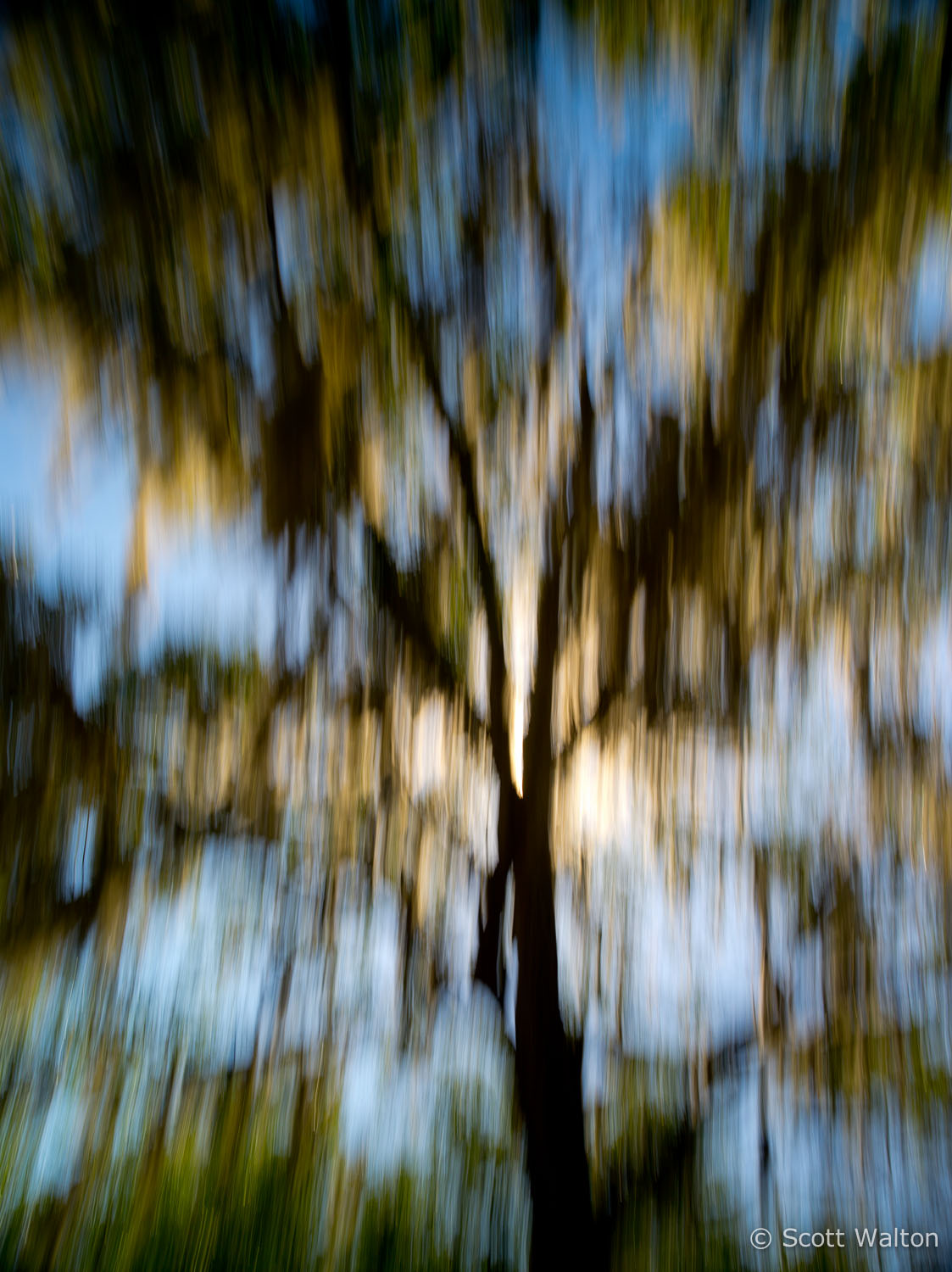 motion-blur-abstract-impression_IGP0175.jpg