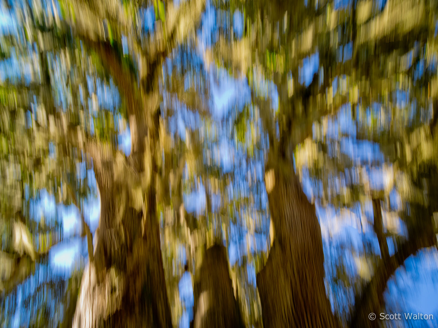 motion-blur-abstract-impression_IGP0194.jpg