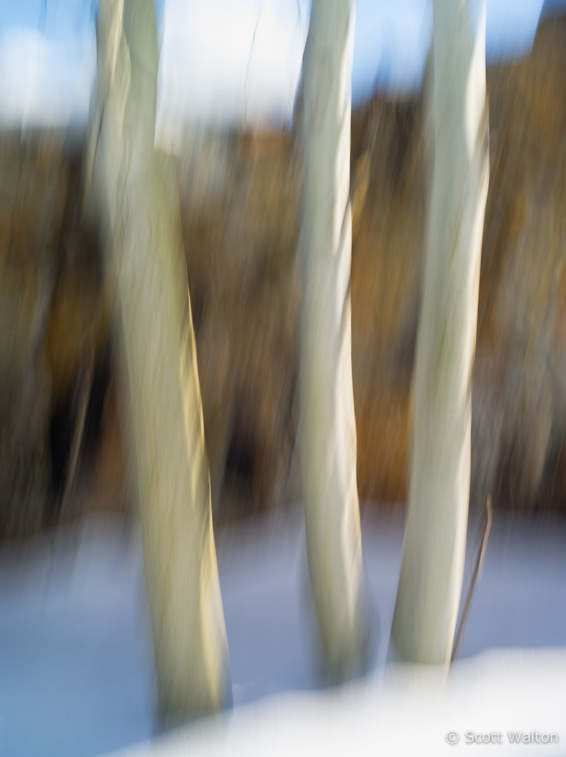 motion-blur-abstract-impression_IGP1029.jpg