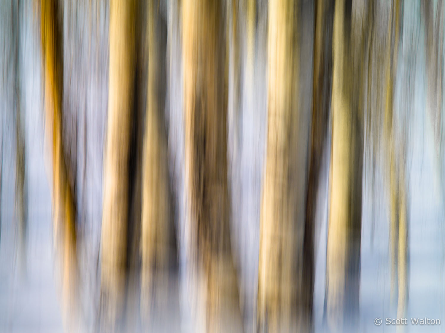 motion-blur-abstract-impression_IGP1166.jpg