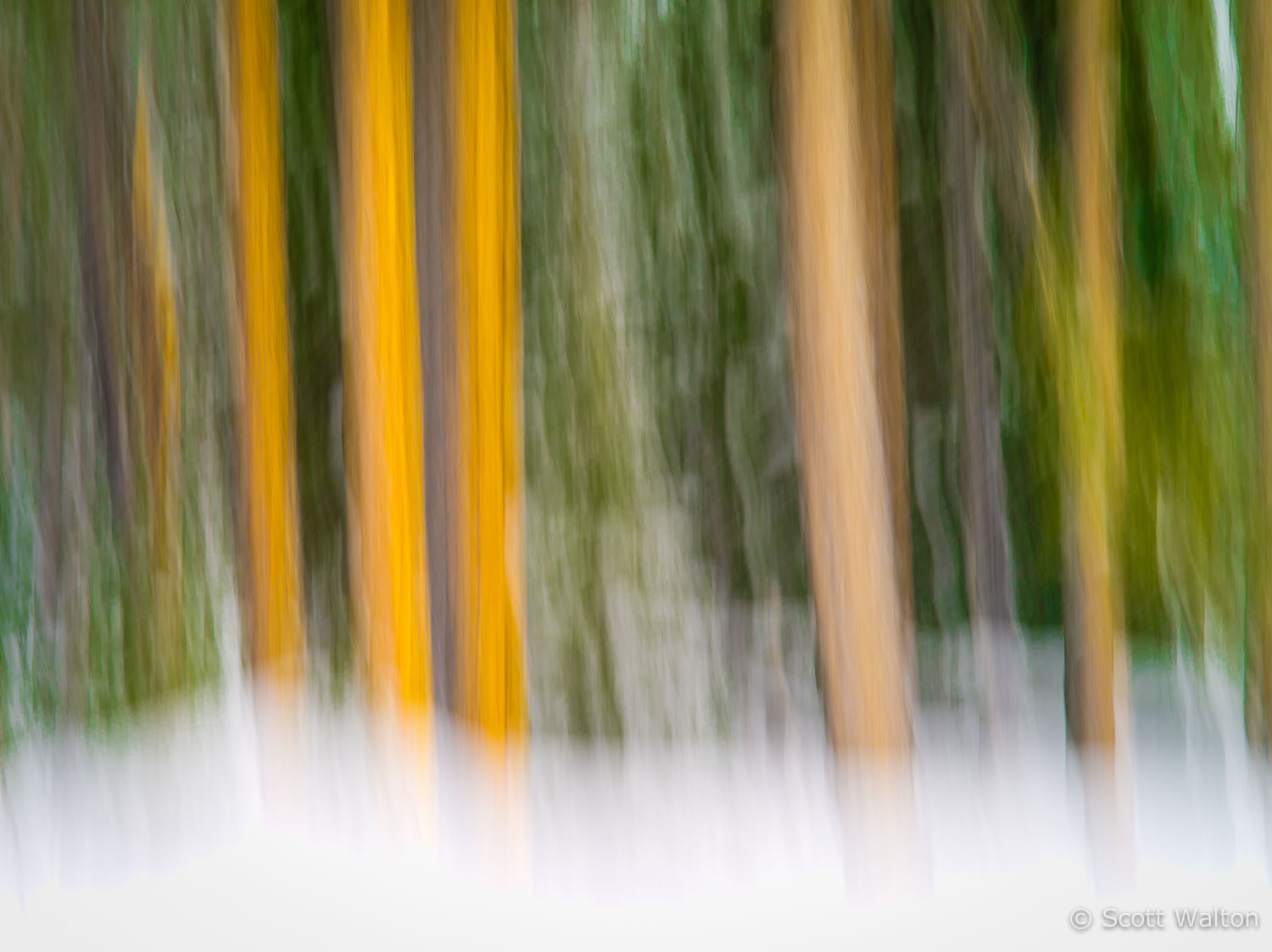 motion-blur-abstract-impression_IGP1378.jpg