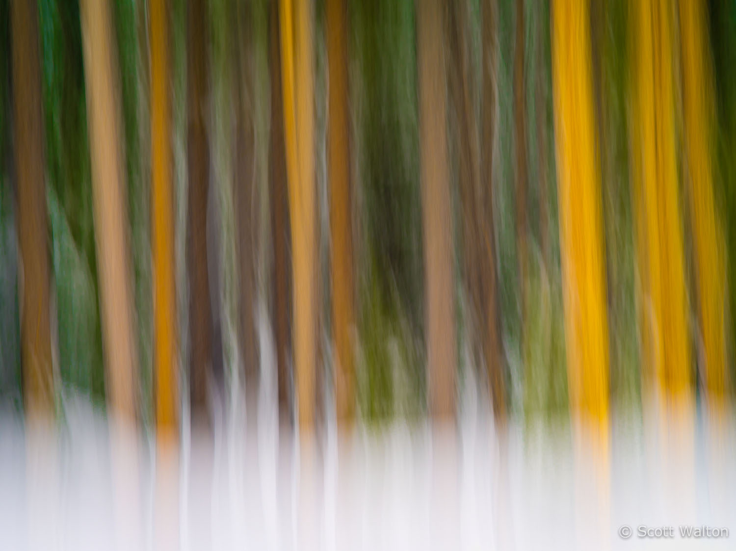 motion-blur-abstract-impression_IGP1386.jpg